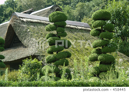 茅草屋頂 民居 日式房屋 458445