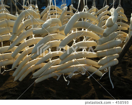 pickled daikon radish, takuan, takuan-zuke 458593