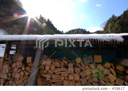 firewood, firewoods, fuelwood 458617