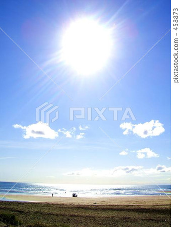 New Zealand Piha Beach 458873