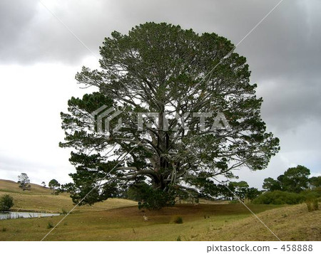 新西蘭霍比特人村 458888