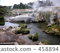 新西蘭地熱土地 458894