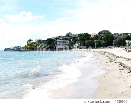 新西蘭使命灣 458902