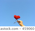 紅色心形的花 459060
