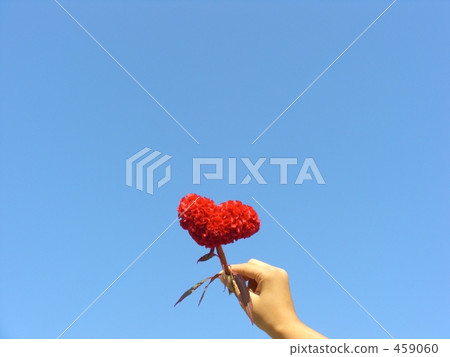 紅色心形的花 紅色心形的花 459060