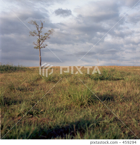 plain, empty lot, roomy 459294