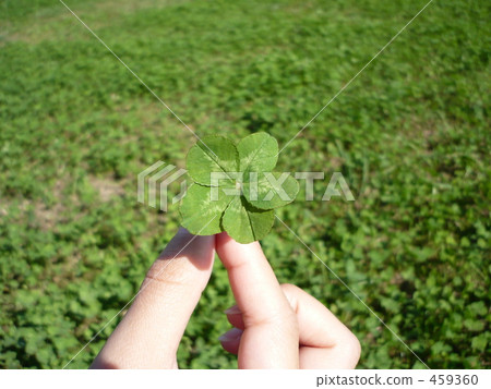 Five leaf clover Five leaf clover 459360