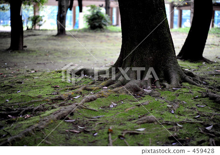 秋天的到來 459428