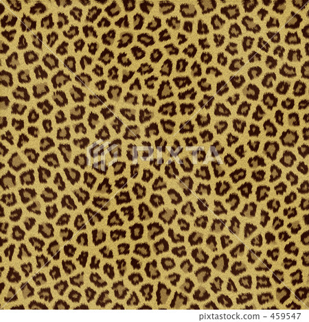 Leopard print Leopard print 459547