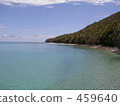 South Island and Sea 2 459640