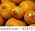 pumpkin, indoor, halloween 459737