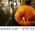 pumpkin, halloween, helloween 459738
