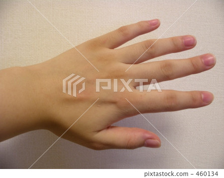 左手 左手 460134