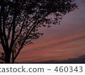 傍晚 日落 夕陽 460343
