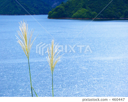 Susuki and lake 460447