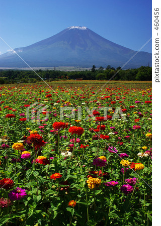 富士山和Hyakusouchi 富士山和Hyakusouchi 460456