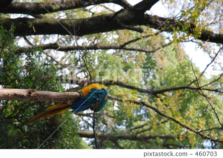 that? My head is not right? 460703