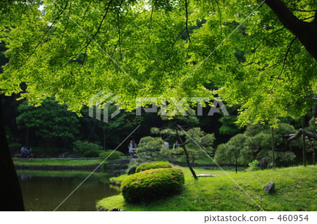 Green Curtain Green Curtain 460954
