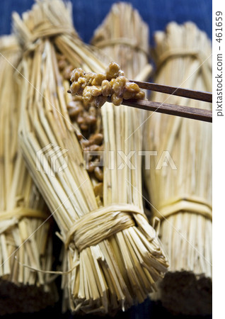 Natto 461659