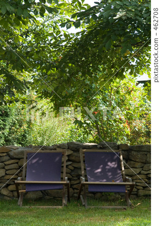 陽光穿過花園 462708