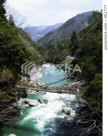 Kazura Bridge in Iya 462777