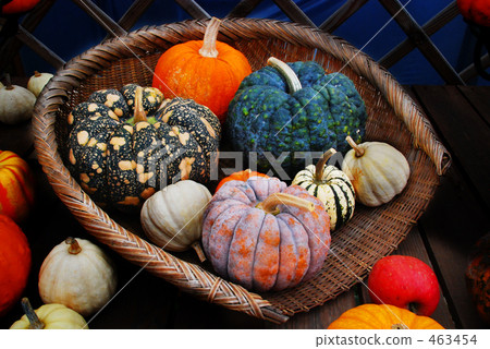 Pumpkin 5 Pumpkin 5 463454