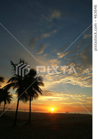 Beach in Ipanema 463646