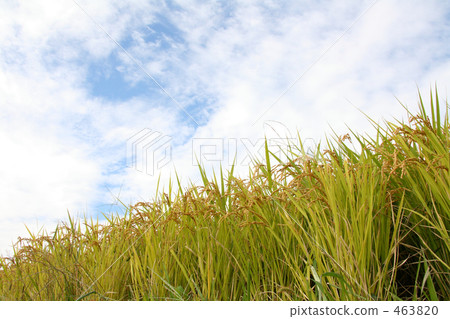 Sky and Rainbow Fall 1 Sky and Rainbow Fall 1 463820