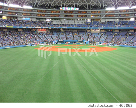 圓頂體育場 463862