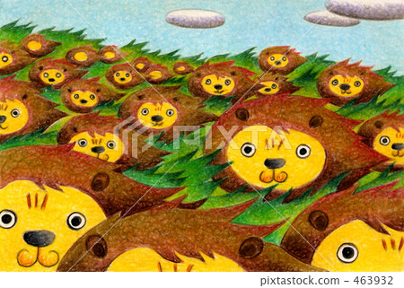 Lion field Lion field 463932