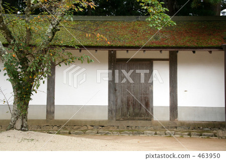 early autumn 463950