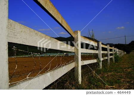 Ranch Ranch 464449