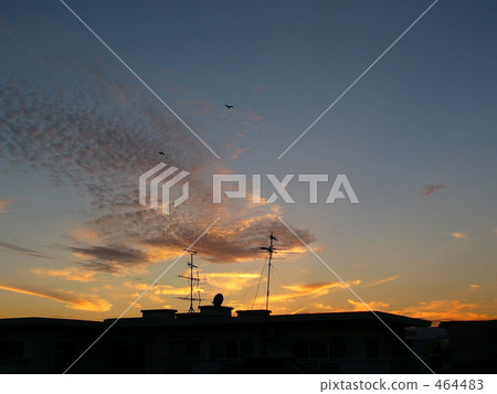West sky West sky 464483