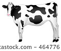 Cow  464776
