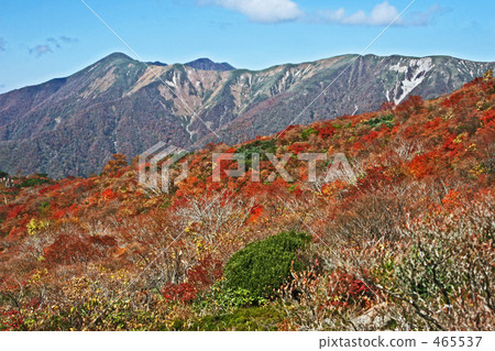 從秋葉的Awaodake山到Sankurayama山 從秋葉的Awaodake山到Sankurayama山 465537