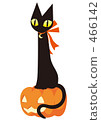 Pumpkin and black cat Pumpkin and black cat 466142