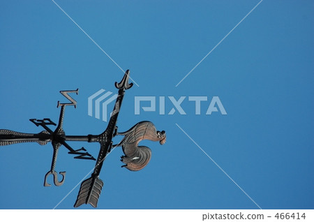 Weather-looking chicken ... 466414