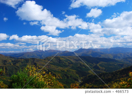 藍天和山毛櫸山 466573