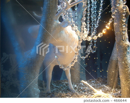 聖誕節 - 馴鹿 466644