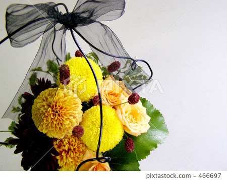 Arrangement of ping-pong mam Arrangement of ping-pong mam 466697