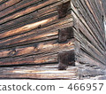 The outer wall of the tree 466957