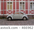 Beetle 466962
