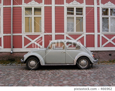 Beetle 466962