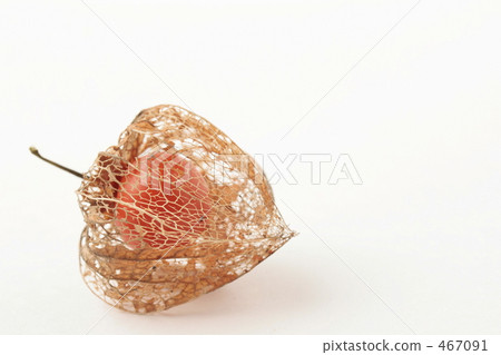 瘋狂的臉頰 467091