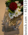 Little garden 467519