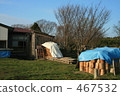 garden, yard, wood 467532