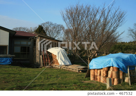 garden, yard, wood 467532