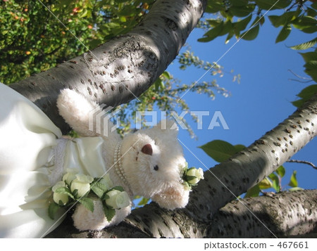cuddly toy, plush toy, stuffed toy 467661