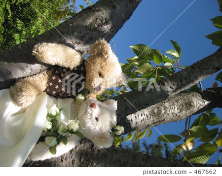 cuddly toy, plush toy, stuffed toy 467662