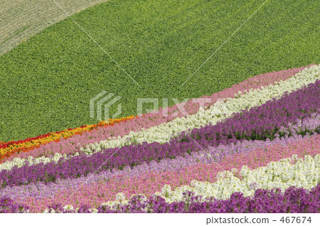 花園 花園 467674